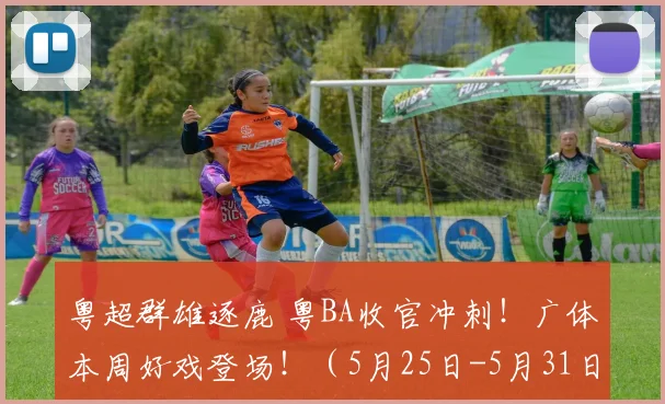 粤超群雄逐鹿 粤BA收官冲刺！广体本周好戏登场！（5月25日-5月31日）