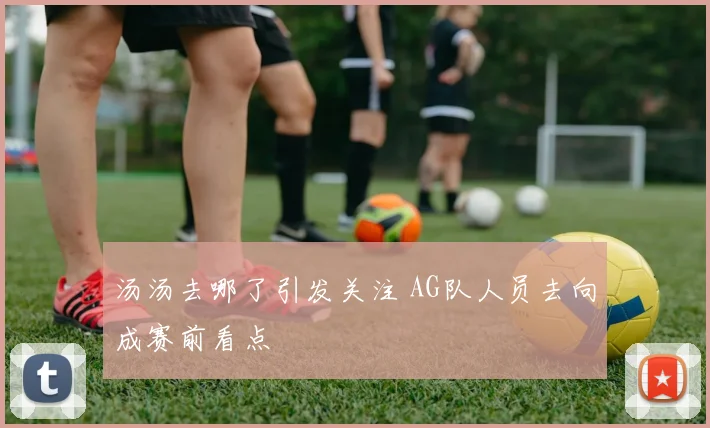 汤汤去哪了引发关注 AG队人员去向成赛前看点